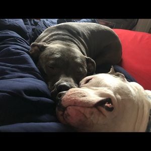 Meet your Posher, William